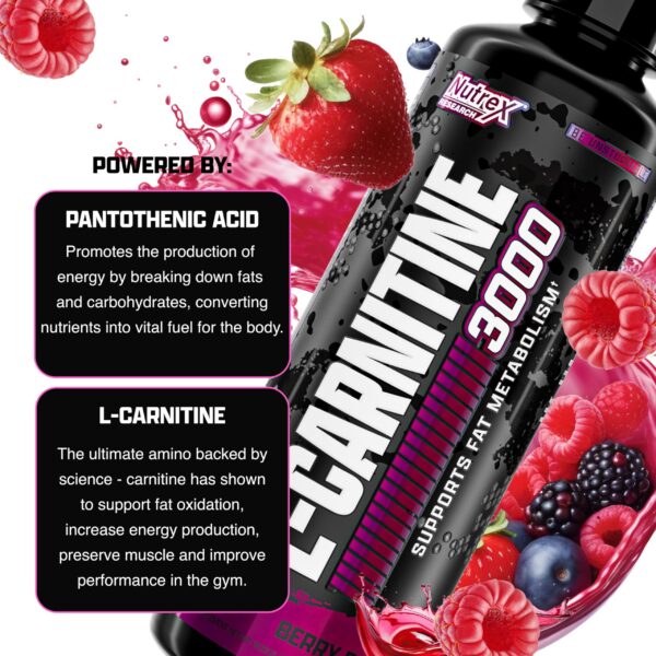 Version 1.0.0 Frasco de L-Carnitine 3000 Berry Blast