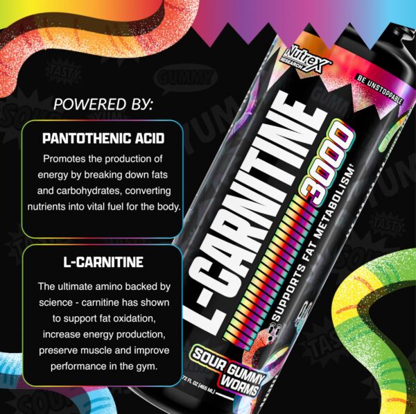 Version 1.0.0 Garrafa L-Carnitine 3000 – frente