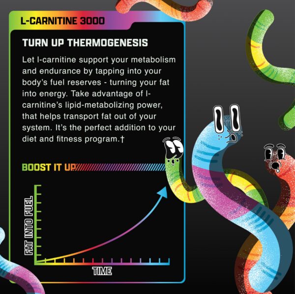 Version 1.0.0 Medidor y frasco L-Carnitine