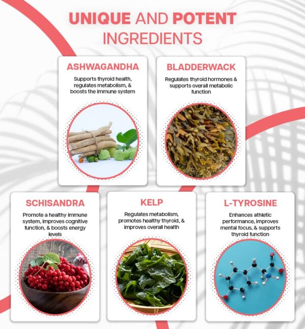 Version 1.0.0 Envase de Nutriana 60 gomitas