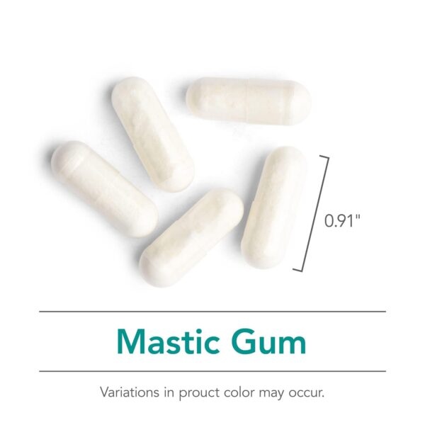 Envase y caja de Nutricology Mastic