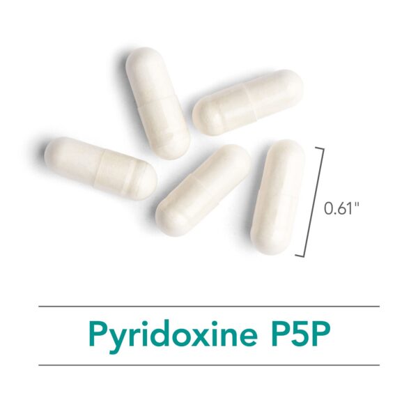 Version 1.0.0 Ingredientes y forma de P5P