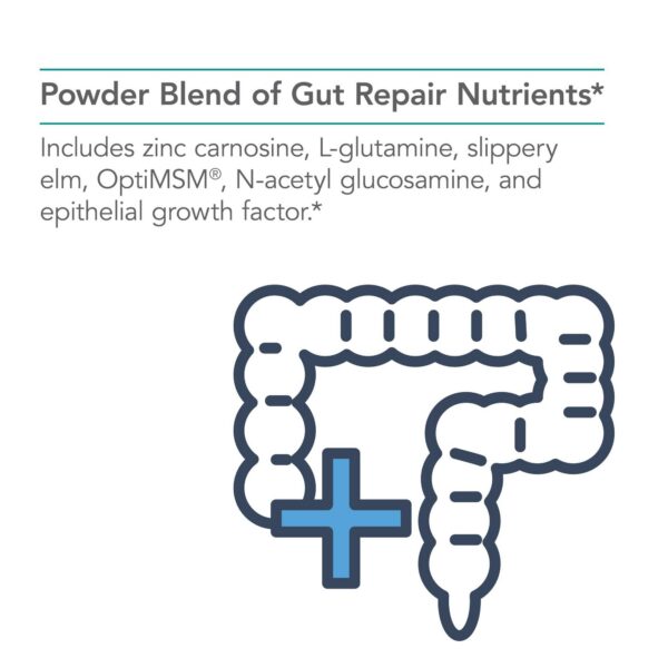 Version 1.0.0 Etiqueta de Nutricology Perm A Vite Polvo