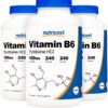 Version 1.0.0 Nutricost vitamina b6 100mg paquete con 3 botellas