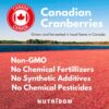 Nutridom arándano canadiense suplemento salud femenina