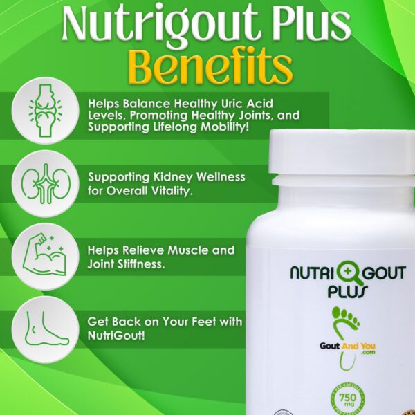Version 1.0.0 Fórmula NutriGout Plus con ingredientes naturales