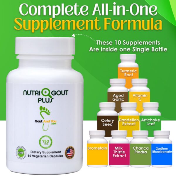 Version 1.0.0 NutriGout Plus para salud articular y renal