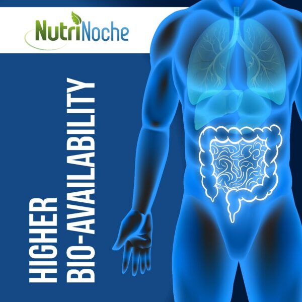 Version 1.0.0 Etiqueta y etiqueta NutriNoche