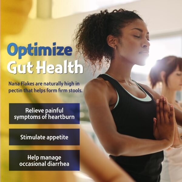 Nutritional Designs Nana Flakes polvo de plátano para mezclar en bebidas