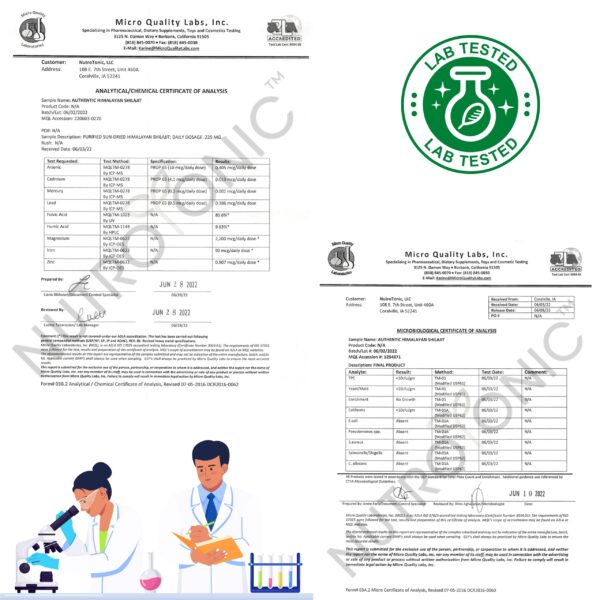 Etiqueta lateral del producto NutroTonic Shilajit Himalaya