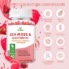 Gomitas rojas Sea Moss OALSE sobre fondo blanco