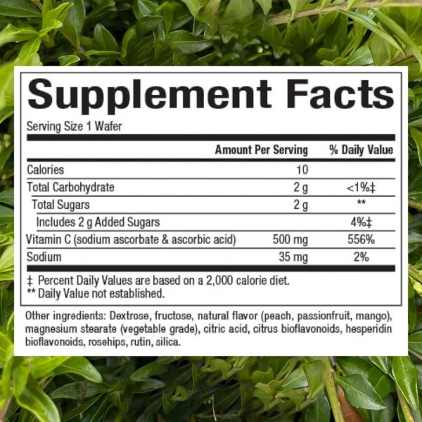 Version 1.0.0 Obleas de vitamina C con sabores frutales para niños