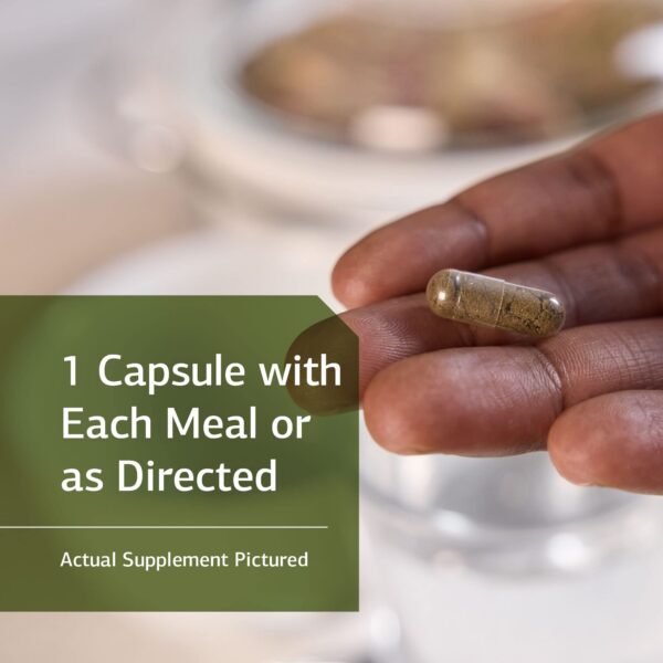 Okra Pepsin E3 ingredientes naturales para intestino saludable