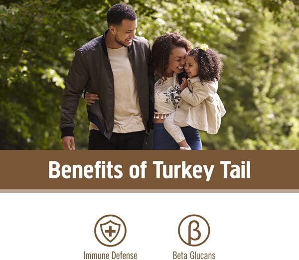 Om-Mushroom-cápsulas-polvo-funcional-cola-de-pavo