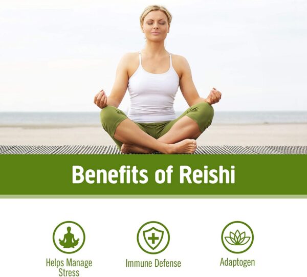 OM Mushroom polvo adaptógeno de Reishi con beta glucanos y antioxidantes