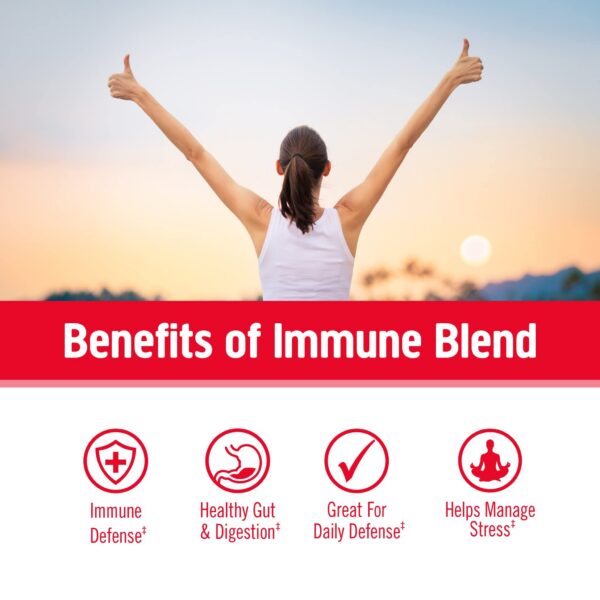 OM Mushroom Superfood paquete 7.05 onzas polvo de hongos