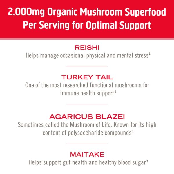 OM Mushroom Superfood polvo superalimento apoyo inmunológico