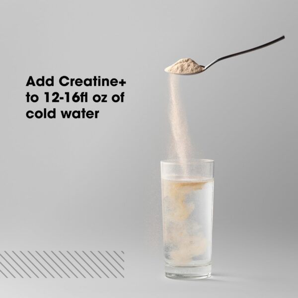 Porciones de creatina en taza medidora