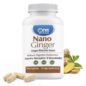 One Planet Nutrition cápsulas nano extracto raíz de jengibre 250mg
