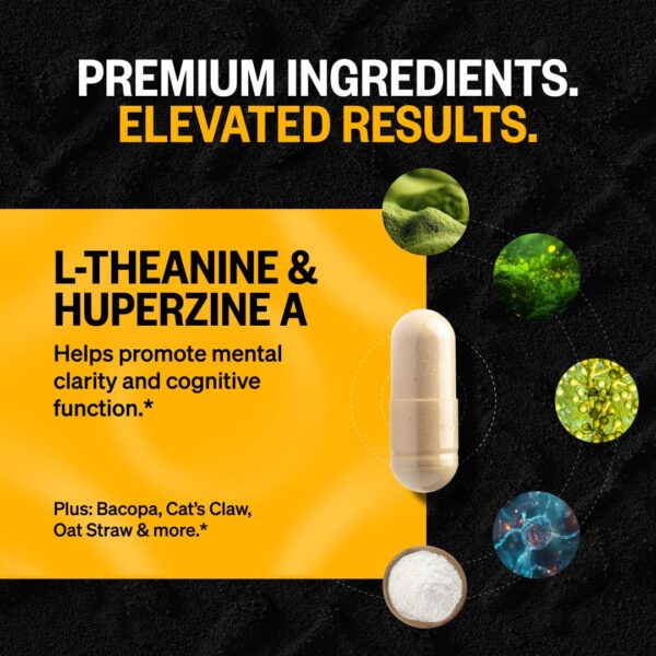 Alpha Brain cápsulas duras