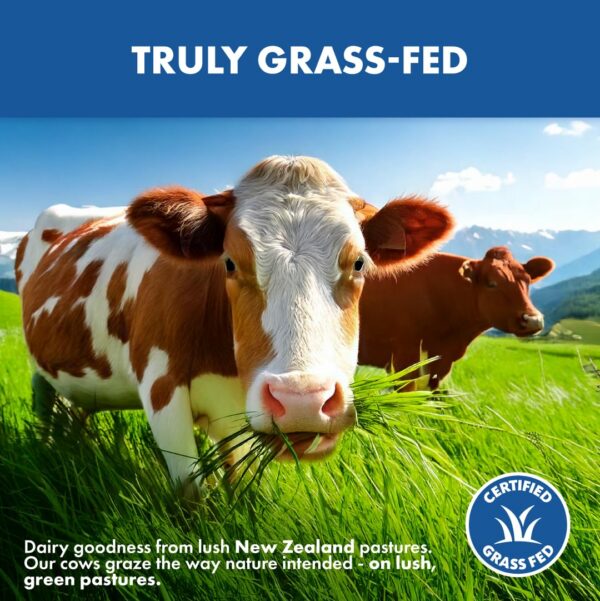 Interior de la bolsa de proteína de suero