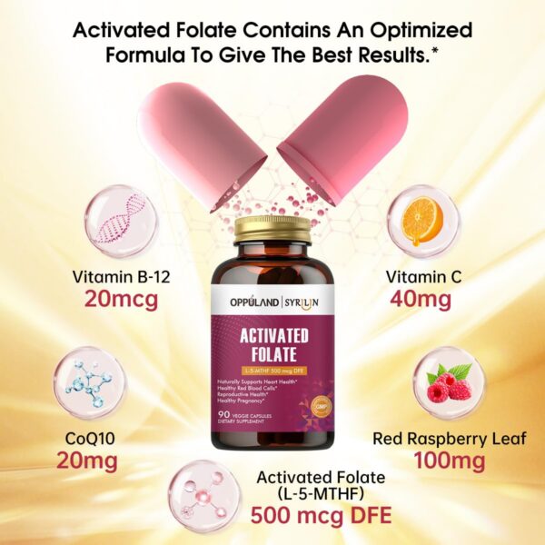 Version 1.0.0 Etiqueta con información del producto oppuland