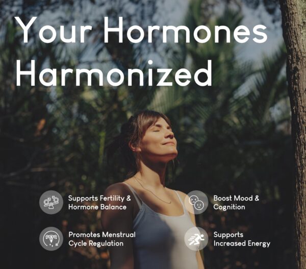 Version 1.0.0 Packaging y diseño de la caja