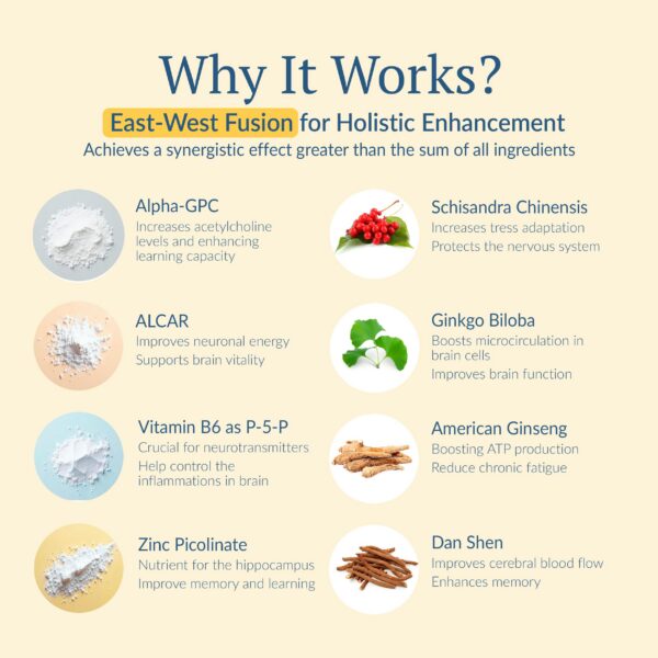 Frasco de cápsulas OPTINOURISH alpha GPC zinc