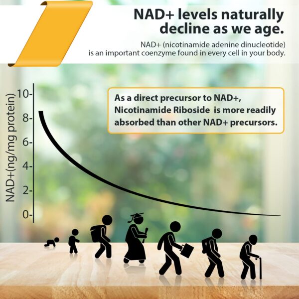 Orgabay liposomal nicotinamide riboside caja