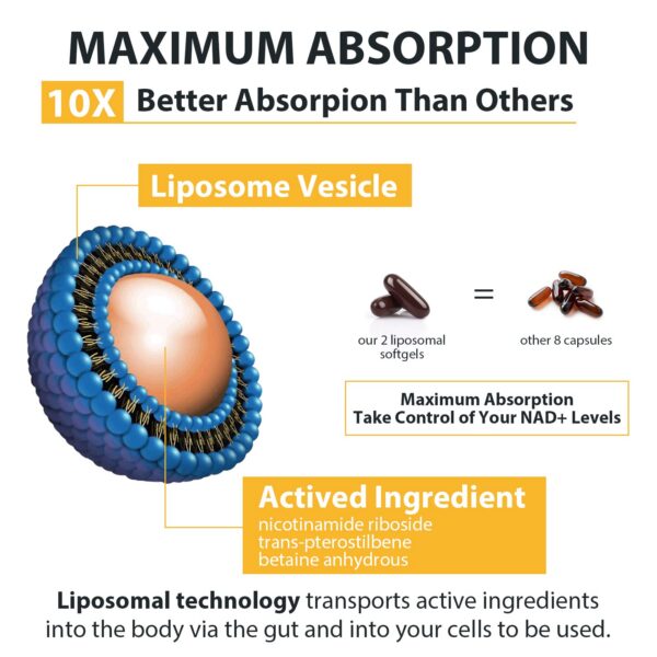 Empaque exterior Orgabay liposomal nicotinamide riboside