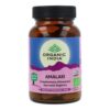 Organic India Amla 90 cápsulas vegetarianas vitamina C natural