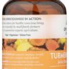 Organic India cúrcuma extracto puro para inflamación saludable y articulaciones
