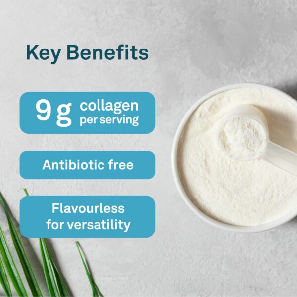 Envase Organika Collagen Enhanced