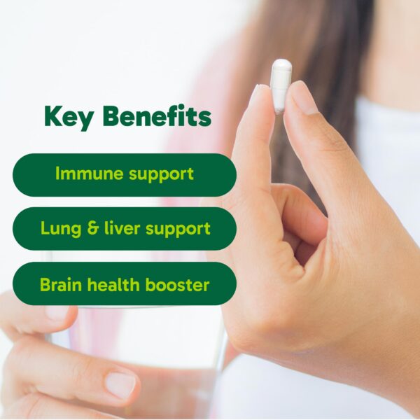 Organika NAC etiqueta frontal