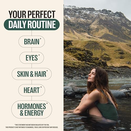 Envase y sello de seguridad