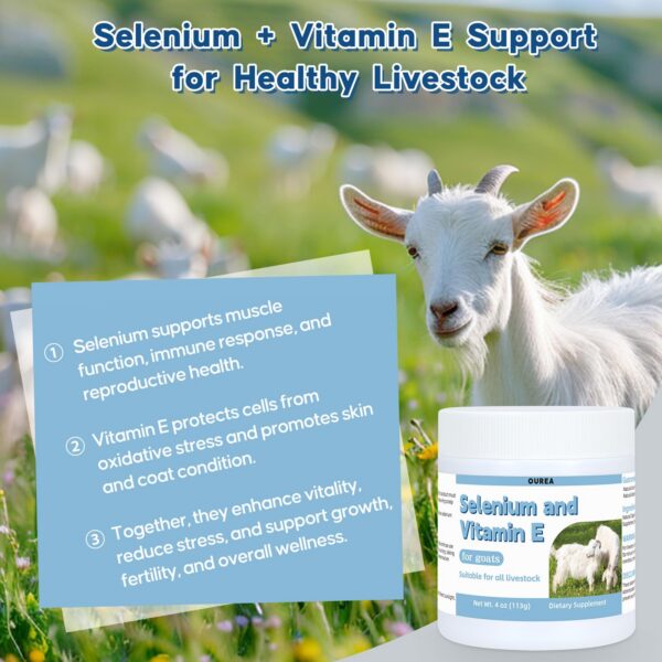 Version 1.0.0 Instrucciones de uso del suplemento de selenio