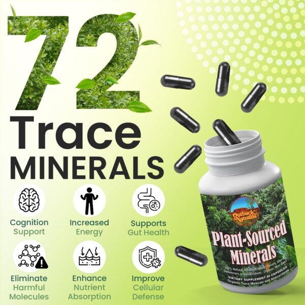 Outback Naturals minerales origen vegetal - frasco