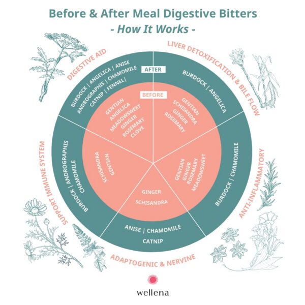 Pack 2 amargos Wellena saludable digestión hígado