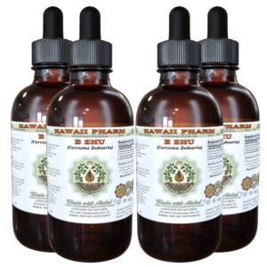 Version 1.0.0 Pack 4 frascos extracto líquido E Zhu sin alcohol 4 oz