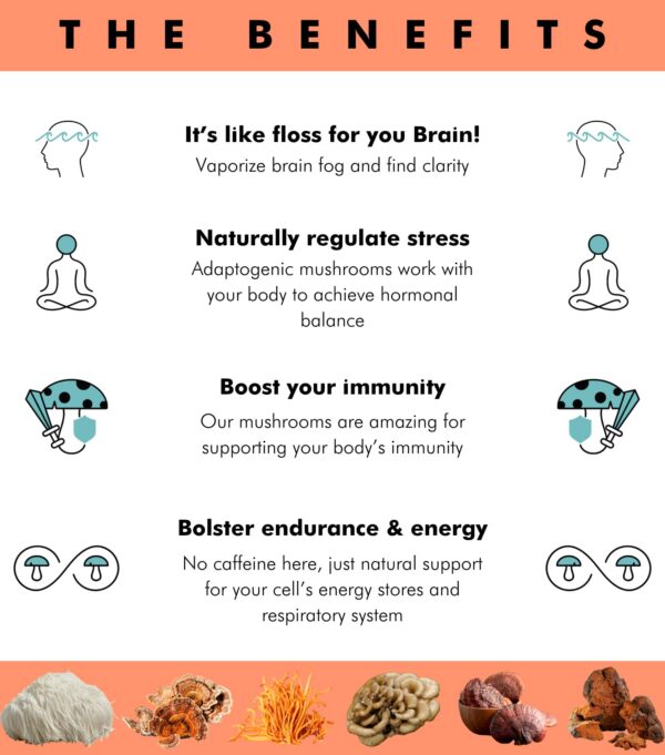 Version 1.0.0 Paquete de gomitas BRAIN WAVE con mezcla de hongos superalimento