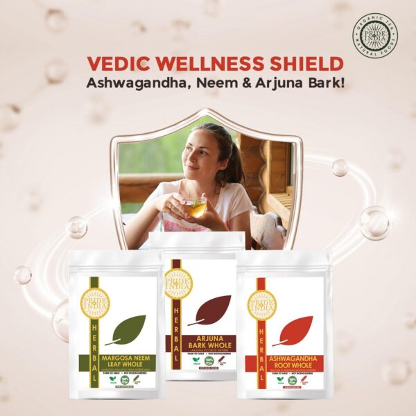 Pack para jugos batidos bienestar Ayurveda Pride Of India