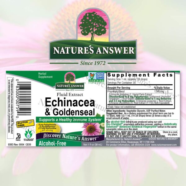 Version 1.0.0 Packaging Nature's Answer Echinacea Goldenseal suplemento sin alcohol