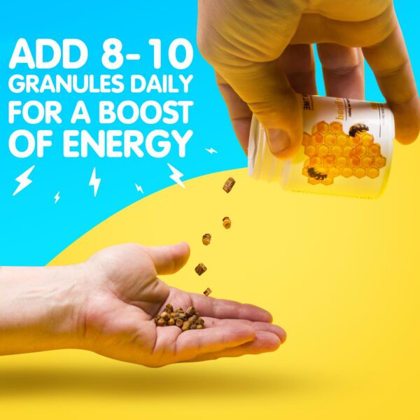 Version 1.0.0 Ingredientes clave del pan de abeja orgánico