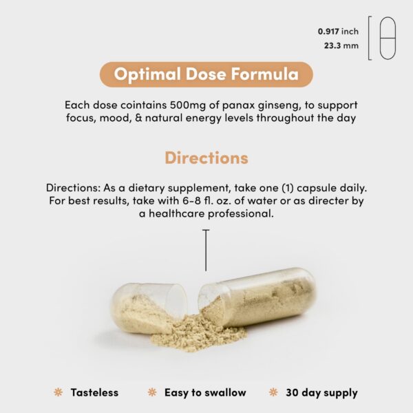 Detalle de la etiqueta y envase