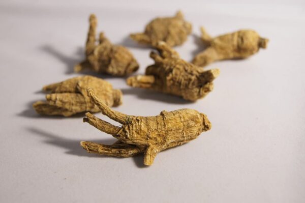 Paquete 1 libra raíces ginseng Wisconsin Dorothy27