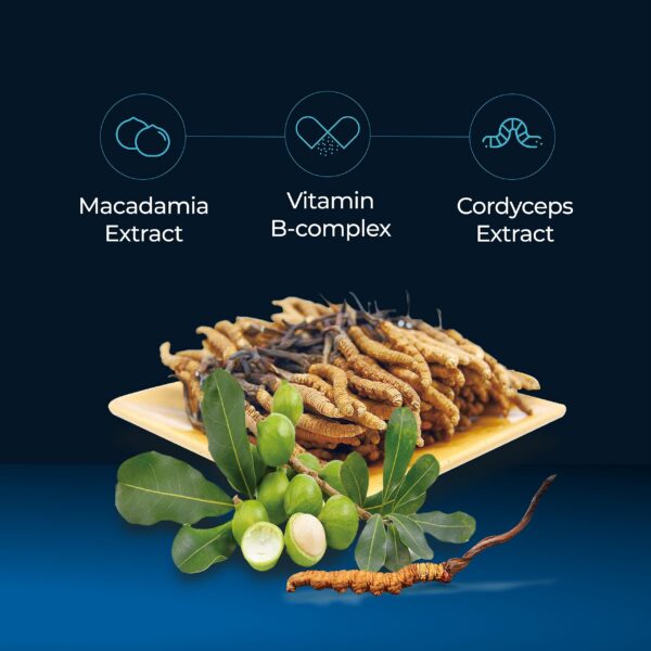 Paquete de 10 unidades de Cordyceps Plus FINE JAPAN