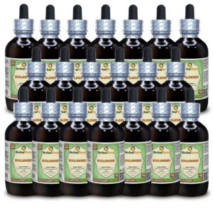 Paquete de 20 botellas de glicerita Bugleweed sin alcohol HerbalTerra