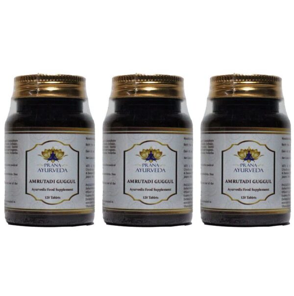 Paquete de 3 AMRUTADI GUGGULU fórmula ayurvédica tradicional