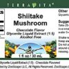 Paquete de 3 extractos de Shiitake sabor chocolate TerraVita