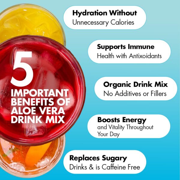 Paquete de 3 latas polvo aloe vera Yes You Can 120 porciones